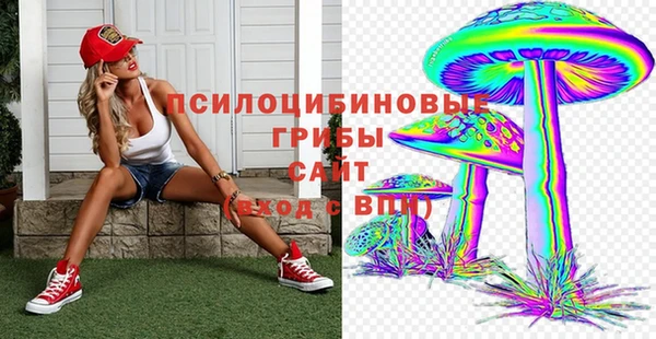таблы Гусев