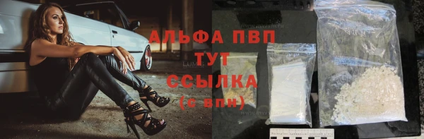 таблы Гусев