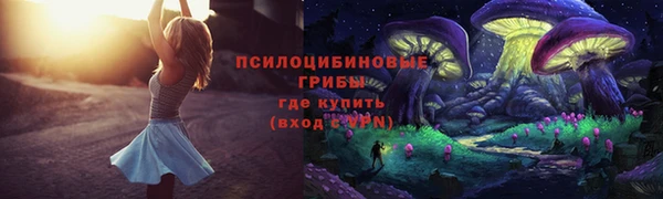 марки nbome Гусиноозёрск