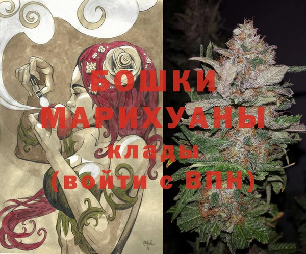 таблы Гусев